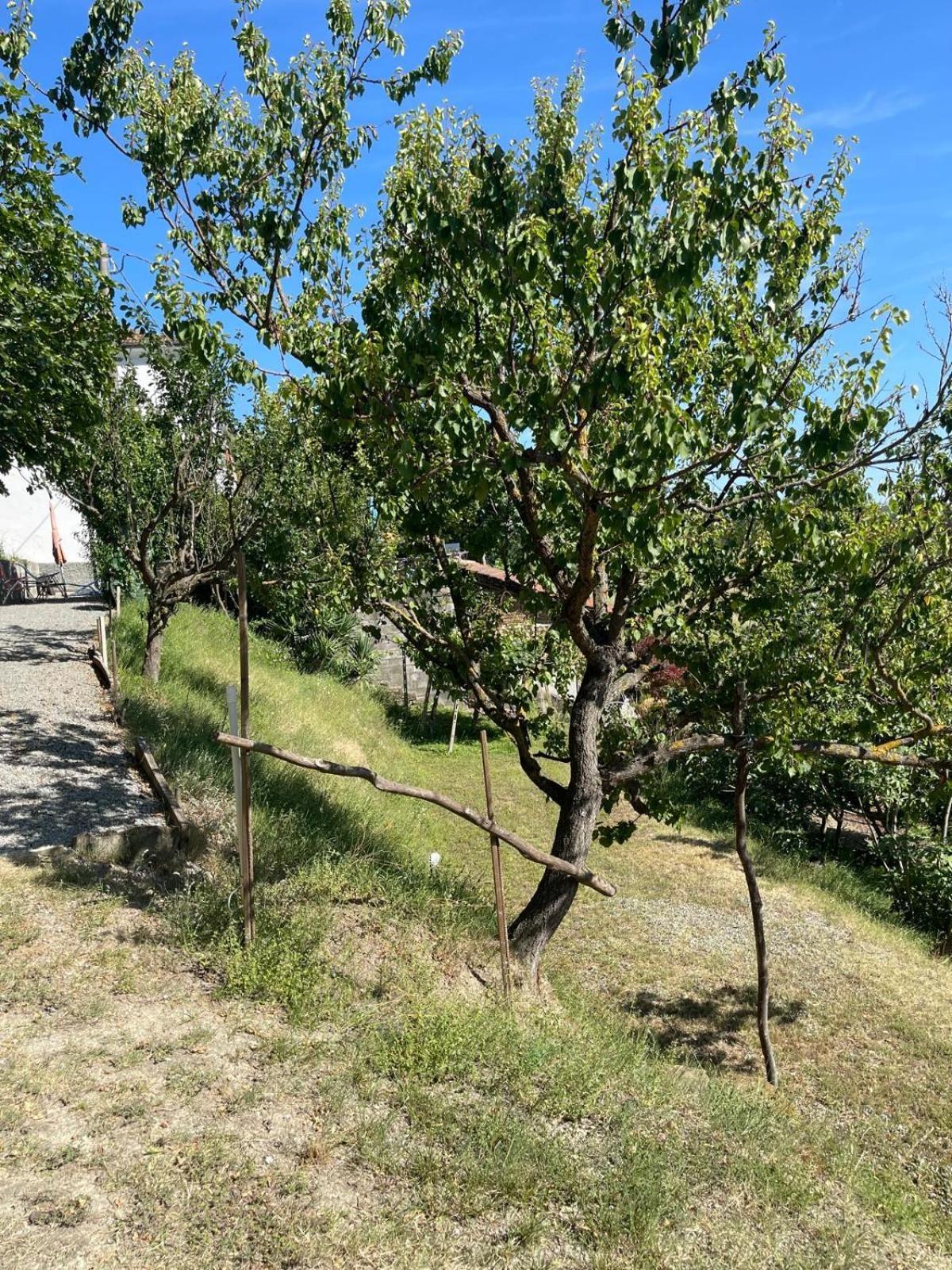 Casa Petra - Casa Tre Stelle - Casa Caneva - Ferien Fuer 6-14 Personen Ponti Kültér fotó